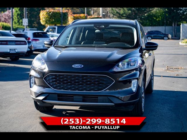 2022 Ford Escape SEL