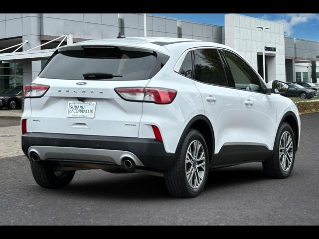 2022 Ford Escape SEL