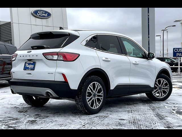 2022 Ford Escape SEL