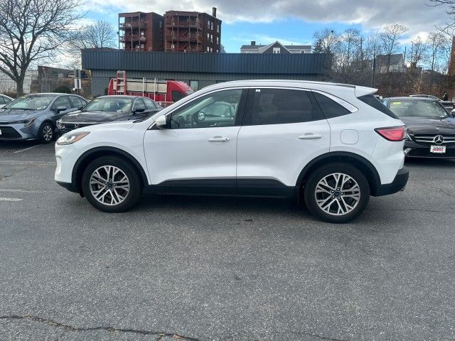 2022 Ford Escape Hybrid SEL