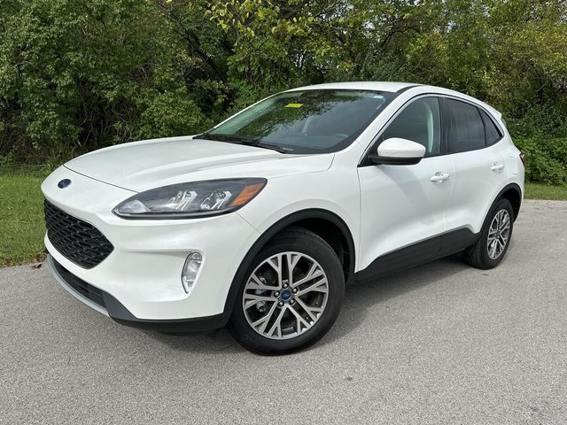 2022 Ford Escape Hybrid SEL