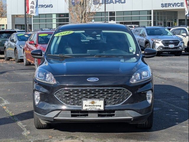 2022 Ford Escape Hybrid SEL