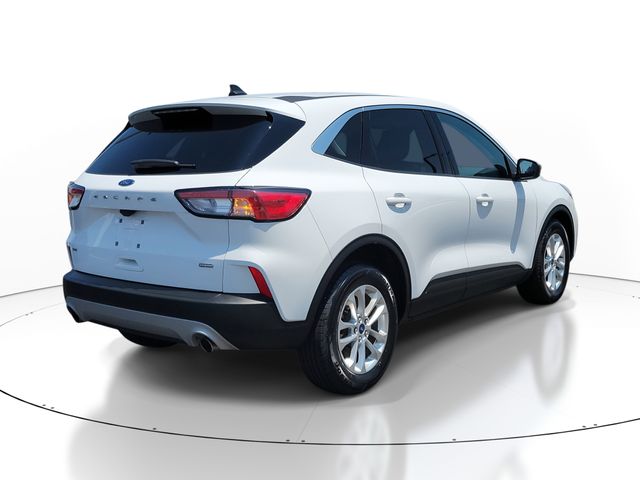 2022 Ford Escape Hybrid SE