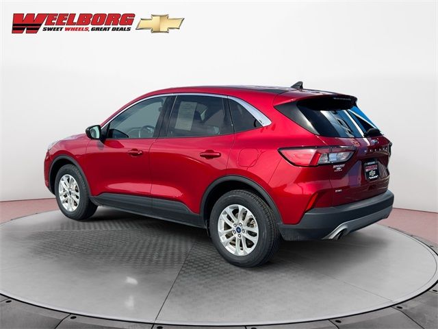 2022 Ford Escape Hybrid SE