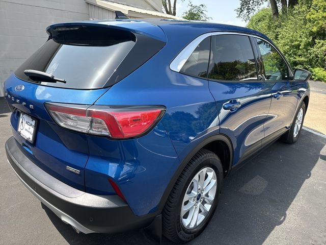 2022 Ford Escape Hybrid SE