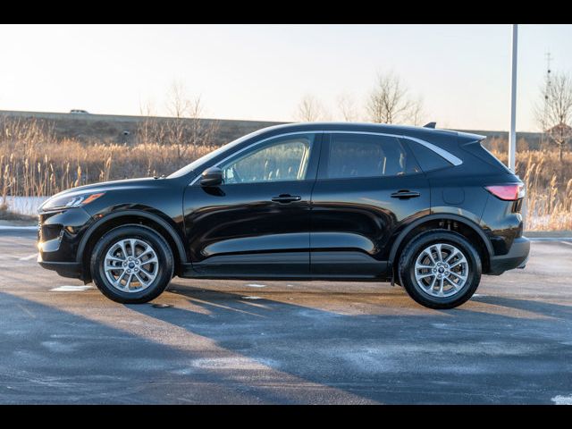 2022 Ford Escape Hybrid SE