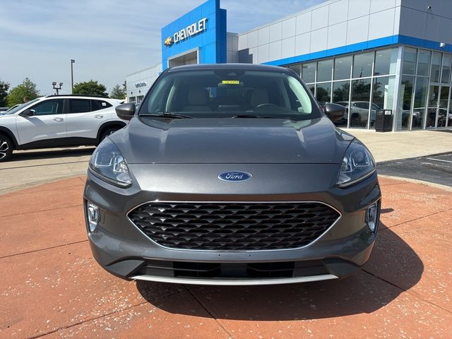 2022 Ford Escape Hybrid SEL