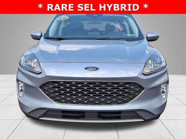 2022 Ford Escape Hybrid SEL