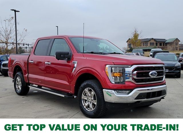 2022 Ford F-150 XLT