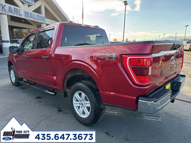 2022 Ford F-150 XLT