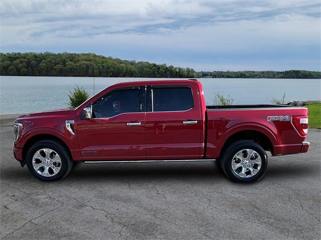 2022 Ford F-150 Platinum