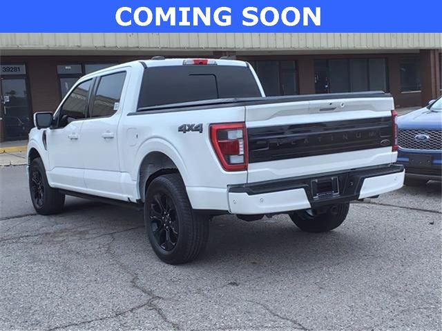 2022 Ford F-150 Platinum