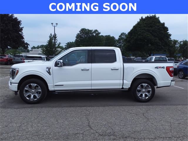 2022 Ford F-150 Platinum