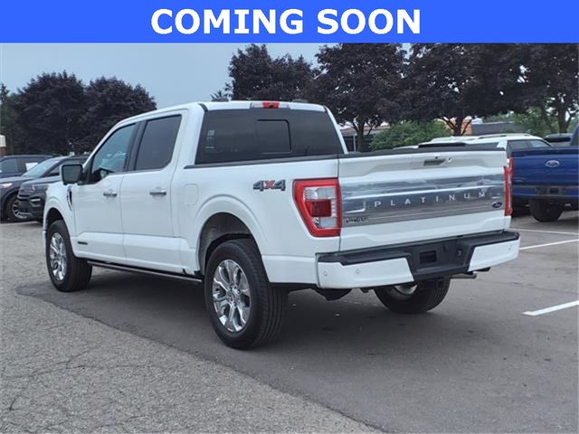 2022 Ford F-150 Platinum