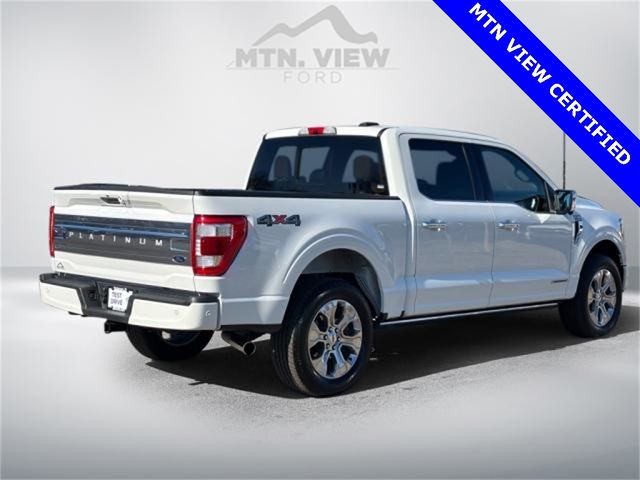 2022 Ford F-150 Platinum