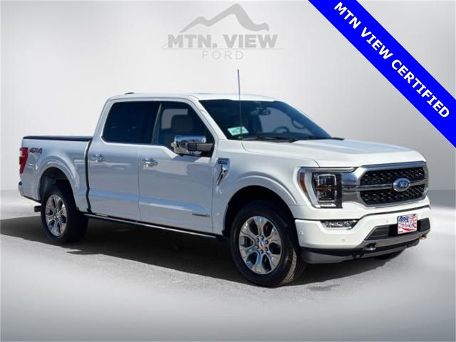 2022 Ford F-150 Platinum