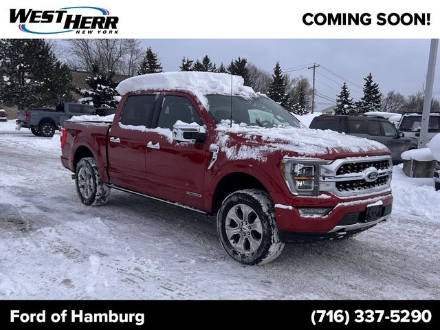 2022 Ford F-150 Platinum