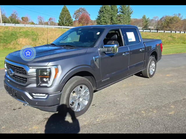 2022 Ford F-150 Platinum