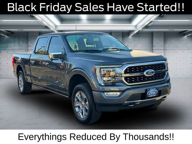 2022 Ford F-150 Platinum