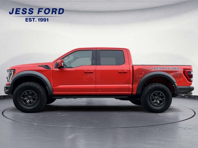 2022 Ford F-150 Raptor