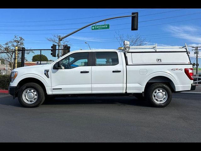 2022 Ford F-150 XL