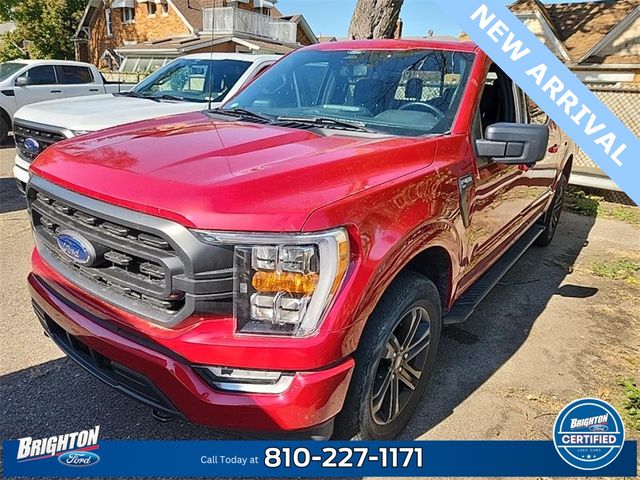 2022 Ford F-150 XLT