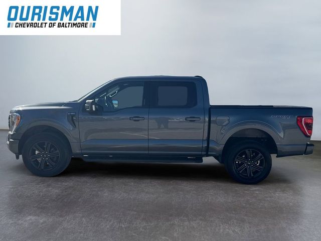 2022 Ford F-150 XLT