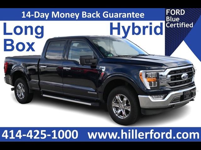 2022 Ford F-150 XLT