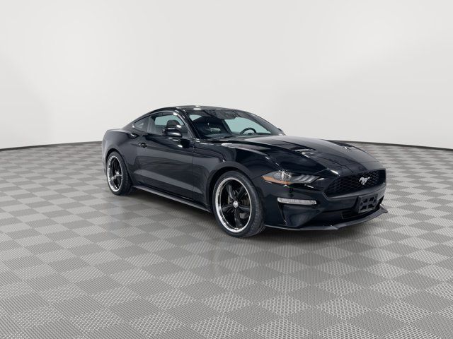 2022 Ford Mustang 