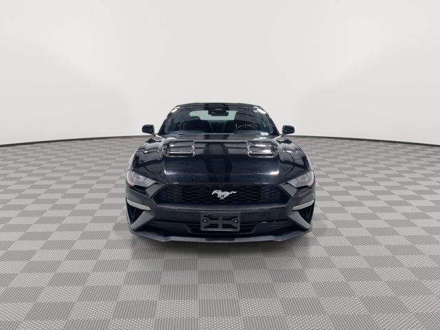 2022 Ford Mustang 