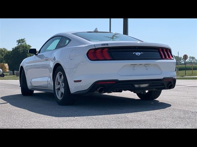 2022 Ford Mustang EcoBoost