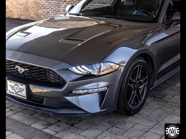 2022 Ford Mustang 