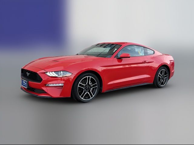 2022 Ford Mustang EcoBoost