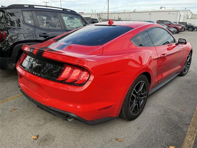 2022 Ford Mustang EcoBoost