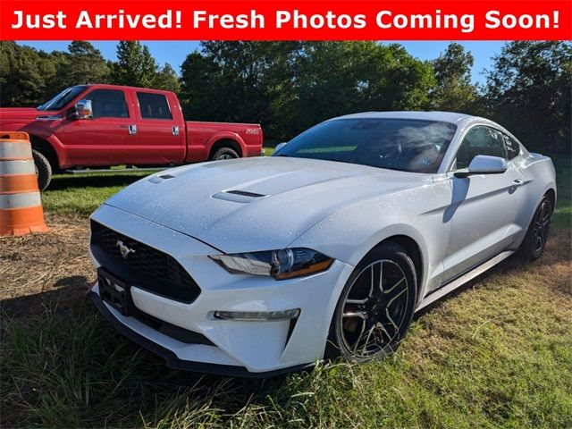 2022 Ford Mustang 