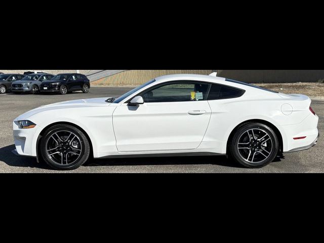 2022 Ford Mustang EcoBoost