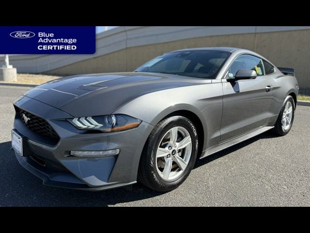 2022 Ford Mustang EcoBoost