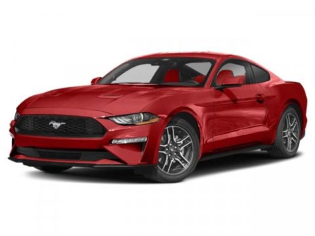 2022 Ford Mustang EcoBoost