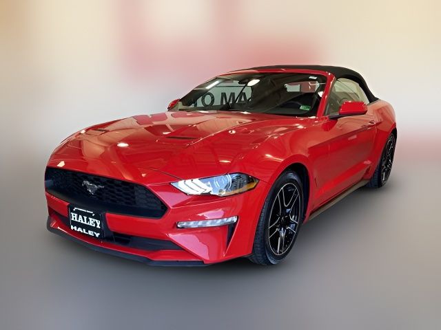 2022 Ford Mustang EcoBoost