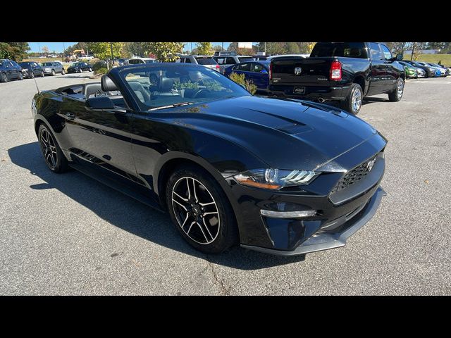 2022 Ford Mustang 