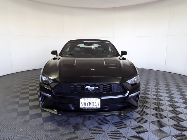 2022 Ford Mustang 