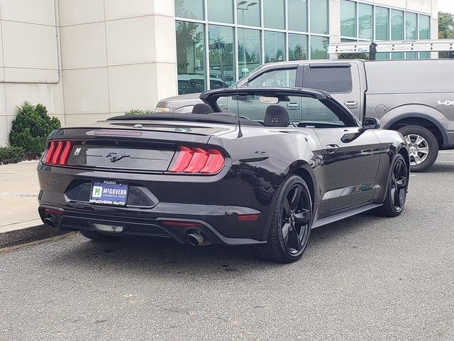 2022 Ford Mustang EcoBoost