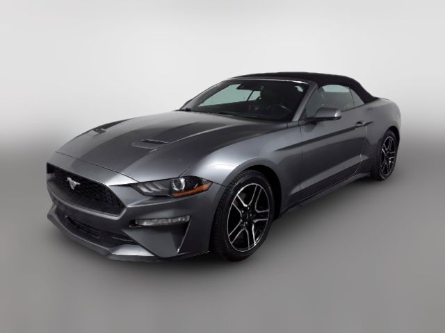 2022 Ford Mustang 