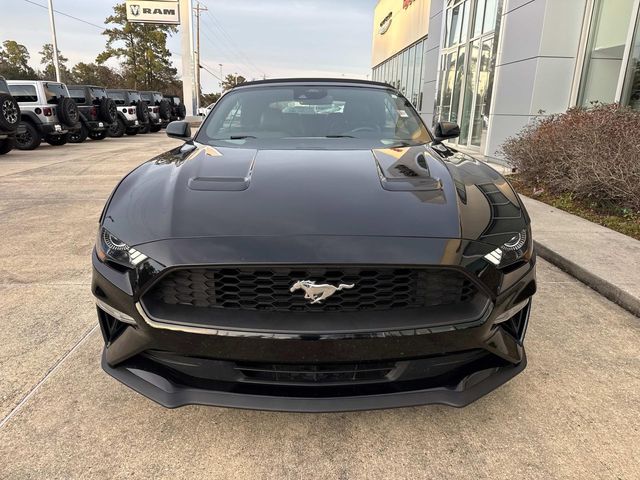 2022 Ford Mustang EcoBoost