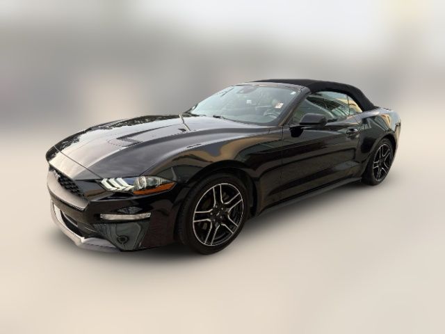 2022 Ford Mustang EcoBoost