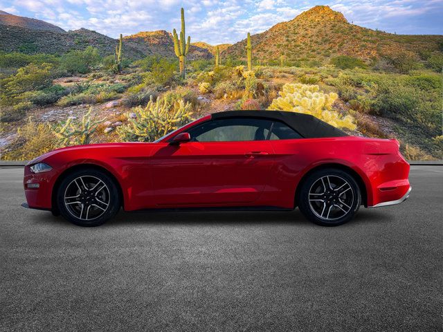 2022 Ford Mustang 