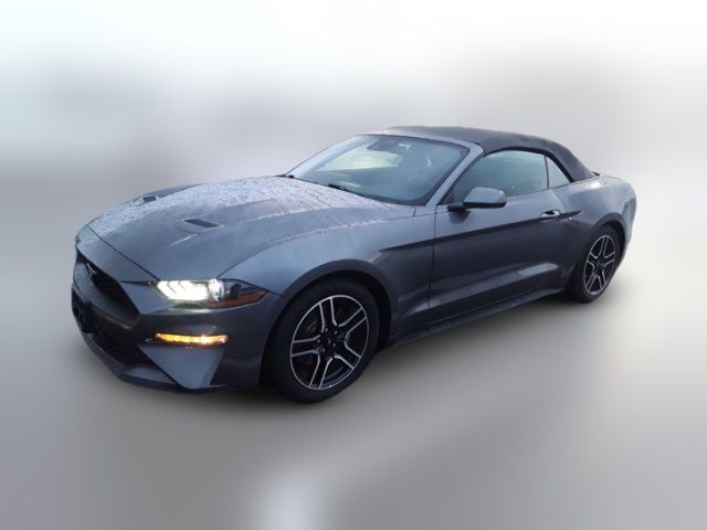 2022 Ford Mustang 