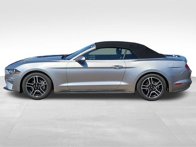 2022 Ford Mustang EcoBoost