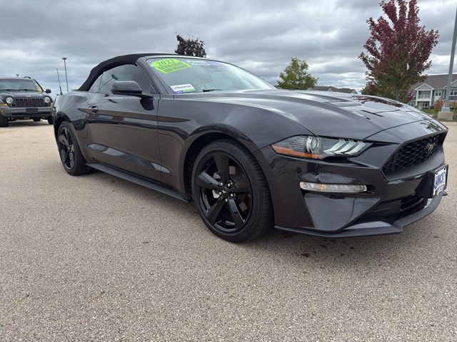 2022 Ford Mustang EcoBoost