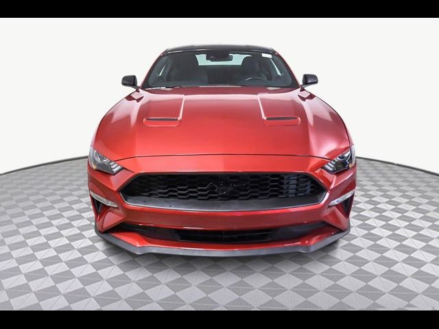 2022 Ford Mustang EcoBoost